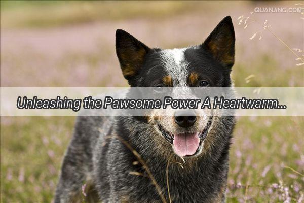 Unleashing the Pawsome Power A Heartwarming Journey Through Do You Like Dogs MV